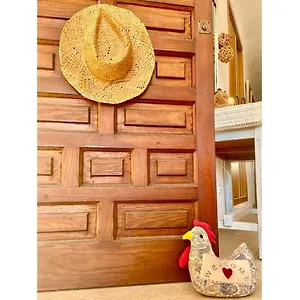 https://apartament-francesca-beach.balearic-islands.net